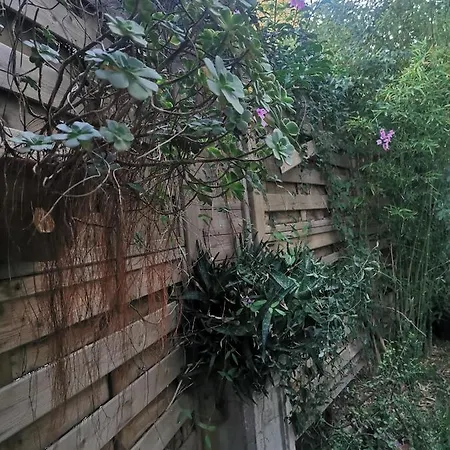 Soavis Flat&garden