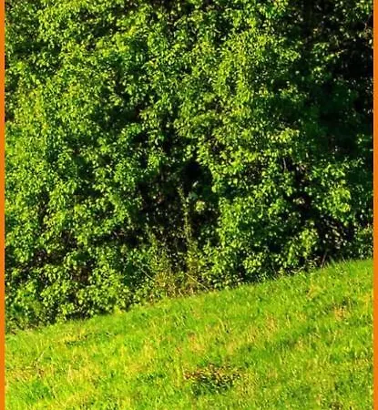 Apartamento Soavis Flat & Garden *
