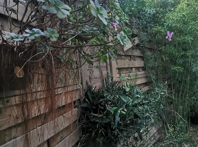 Soavis Flat & Garden